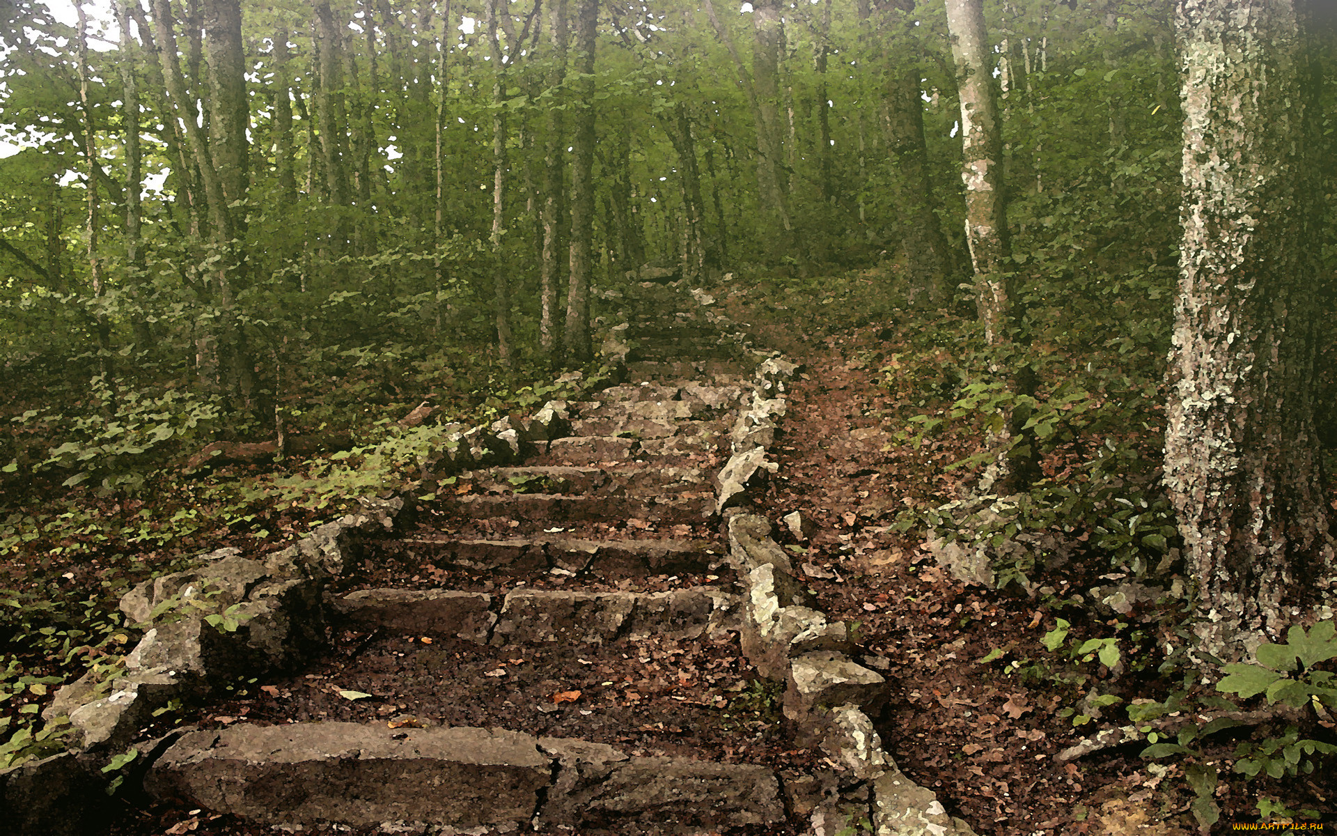 steps, to, pinnacle, rock, , , , , , 